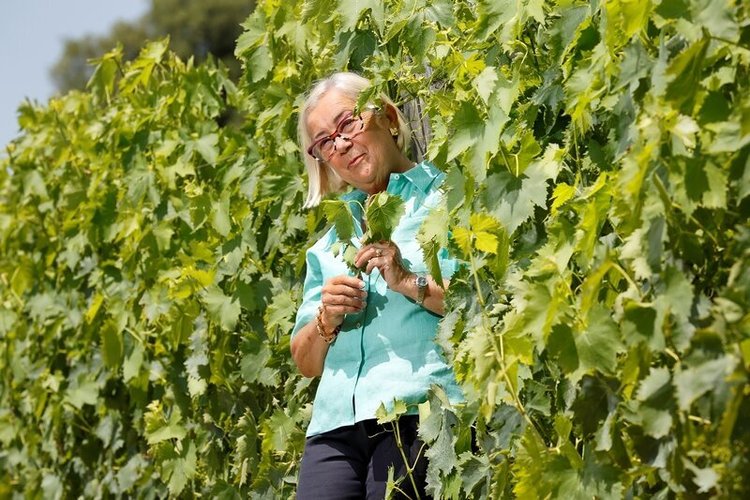 Donatella Cinelli Colombini - Le Sommelier Wine Agency